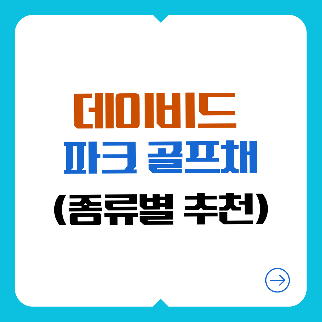 데이비드 파크 골프채