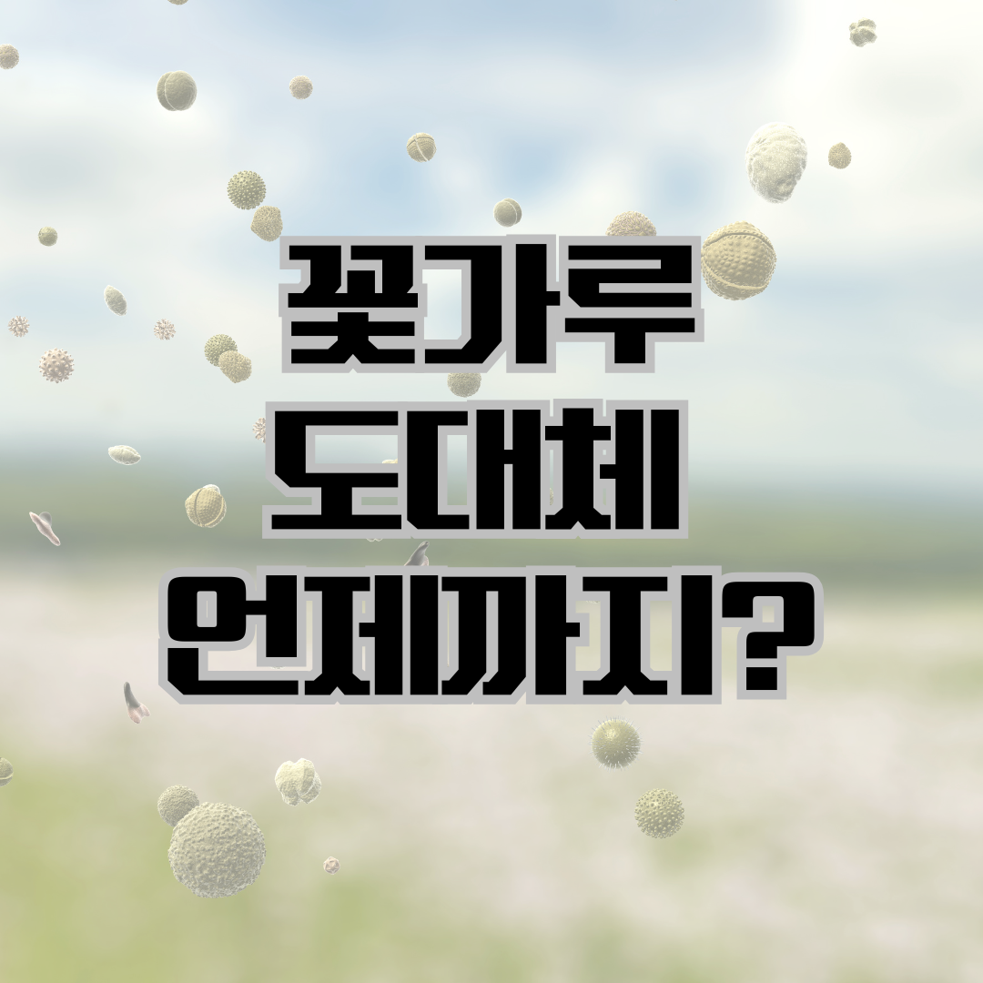 꽃가루언제까지